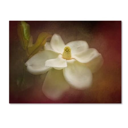 Jai Johnson 'Magnolia In Bloom 2' Canvas Art,24x32
